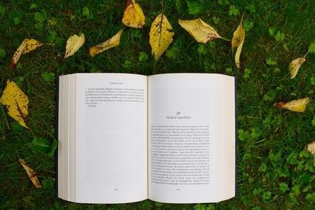 河南自考如何選擇專業(yè)？