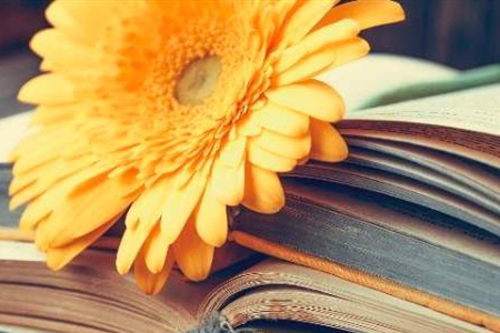 河南自考怎么獲得本科畢業證書?