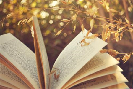 河南大學(xué)關(guān)于2020年高等教育自學(xué)考試本科畢業(yè)生申請(qǐng)學(xué)士學(xué)位的通知